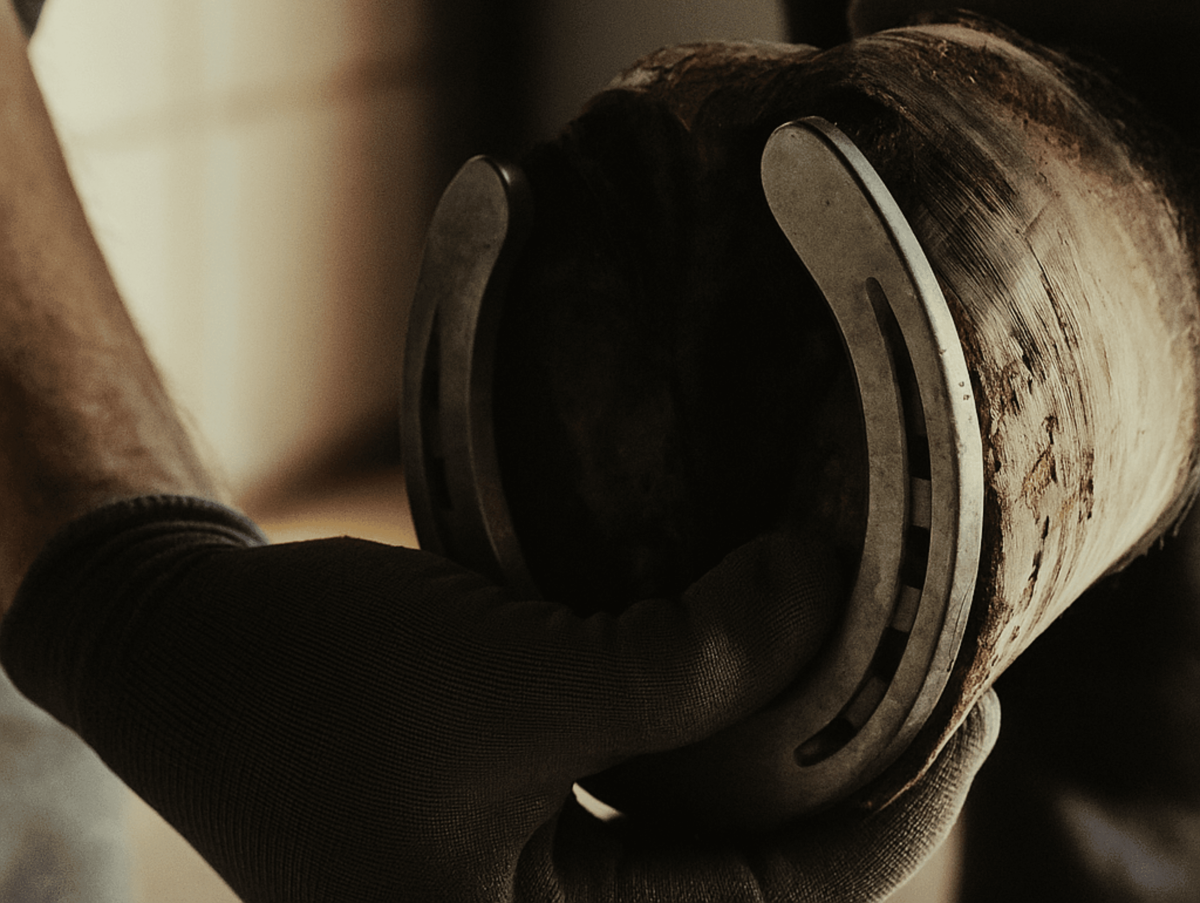 Close-up of a durable horseshoe demonstrating material strength